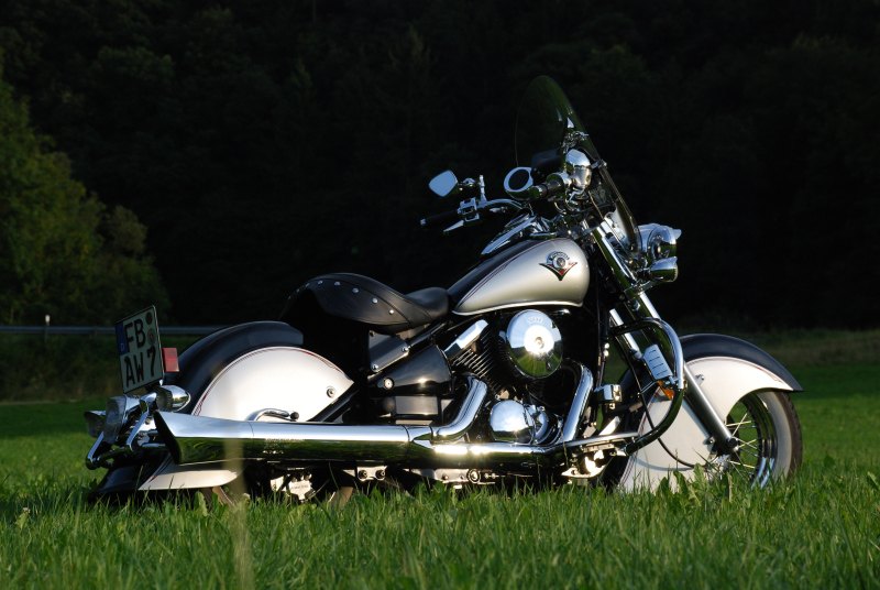 DSC_0133.jpg