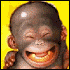 Onkel77